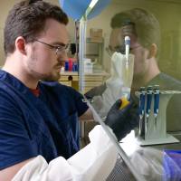 二肽基肽酶IV-人胎盘