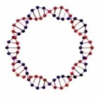 现货质粒产品/质粒载体