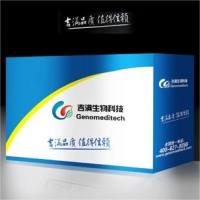 常用对照AAV 现货及定制产品