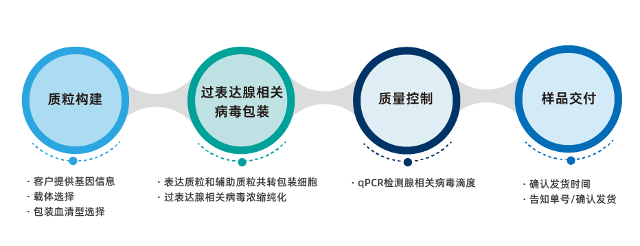 过表达AAV定制服务