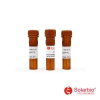 BSA-FITC FITC标记的BSA