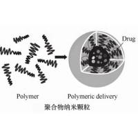 乳清蛋白纳米颗粒包封大豆异黄酮（SoyIso）