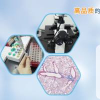 信帆生物提供ELISA试剂盒实验外包服务