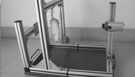 动物行为学 | 悬尾实验（Tail suspension test，TST）