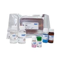 维百奥生物现货销售Svar Lifescience现货试剂盒