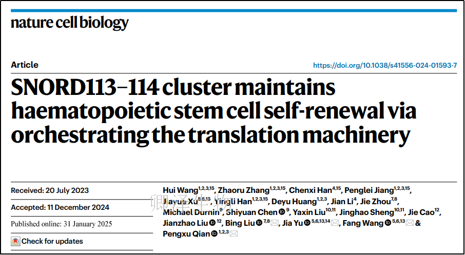 Nat Cell Biol. | 翻译组技术助力揭示SNORD113–114基因簇在维持造血干细胞（HSC）自我更新中的作用