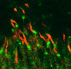 0514676975001268.gif 3.gif