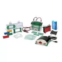 维百奥生物现货销售伯乐Bio-Rad小型垂直电泳转印系统三件套1658033