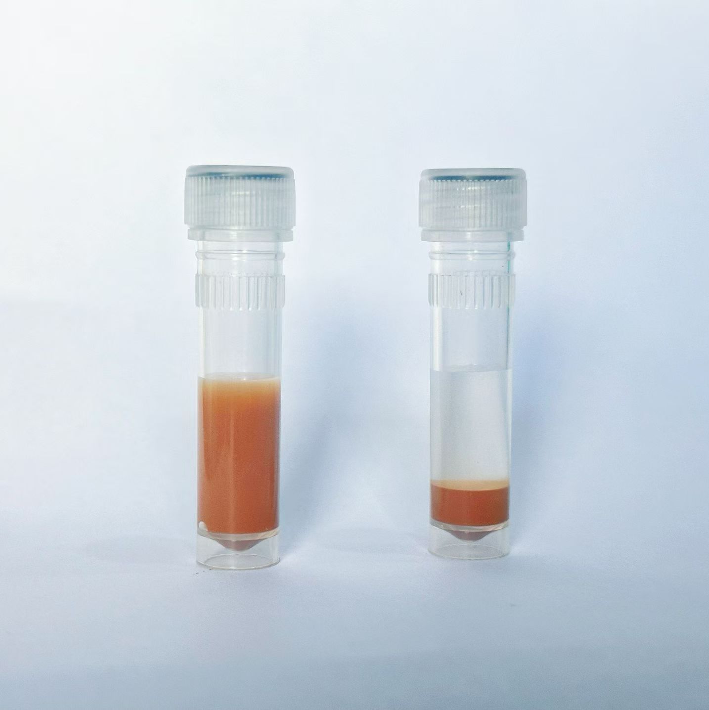 化学发光磁性微球/磁珠