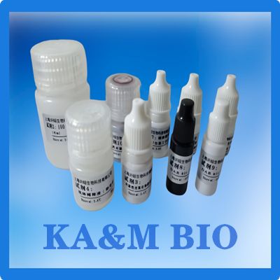 非洲猪瘟病毒阻断ELISA抗体检测试剂盒