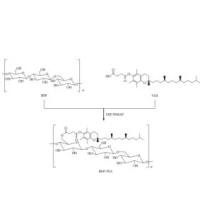白及多糖-维生素 E 琥珀酸酯聚合物胶束包载胡桃醌