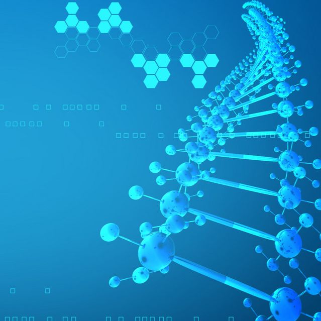 报告基因细胞株构建服务