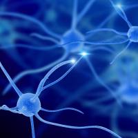 luciferase（荧光素酶）标记稳定细胞系构建