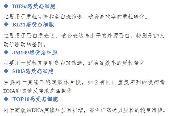 大肠杆菌感受态