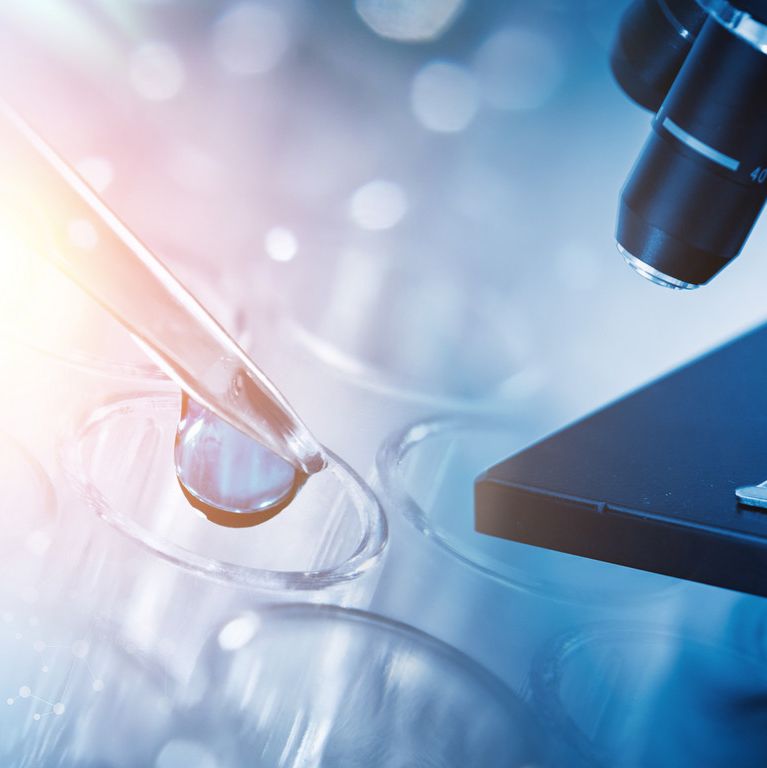 Crispr基因编辑细胞系-敲除细胞系构建服务