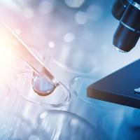 Crispr基因编辑细胞系-敲除细胞系构建服务