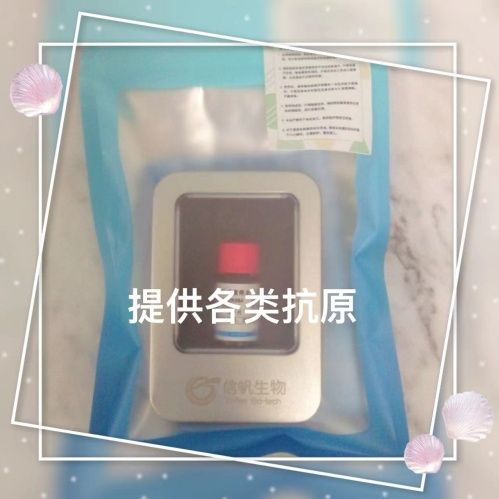 白介素1α/IL-1α抗体