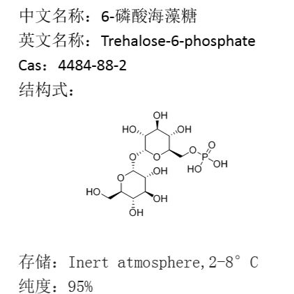 6-磷酸海藻糖