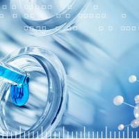 干扰稳定细胞系构建-敲低细胞系构建服务