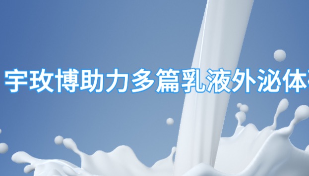 牛奶外泌体研究进展合集：5 篇论文精华解读