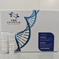 Star7Plus感受态细胞 mRNA质粒生产菌株 稳定polyA及产量