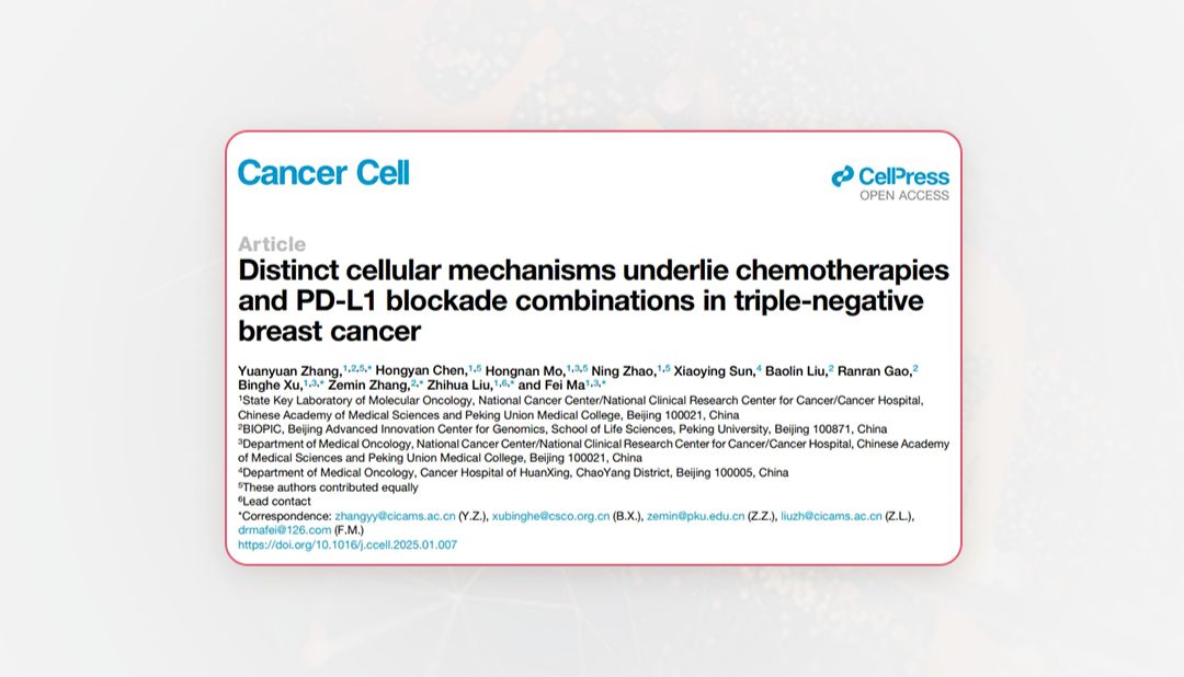 Cancer Cell | 张泽民课题组与合作者揭示三阴性乳腺癌化疗与免疫治疗的协同机制