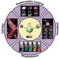 氧化铁磁性纳米粒子（IONPs）被L-赖氨酸修饰