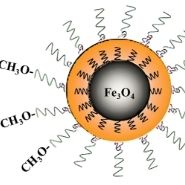 负载长春新碱(VCR)的Fe3O4超顺磁纳米粒子被PDA和叶酸(FA)修饰
