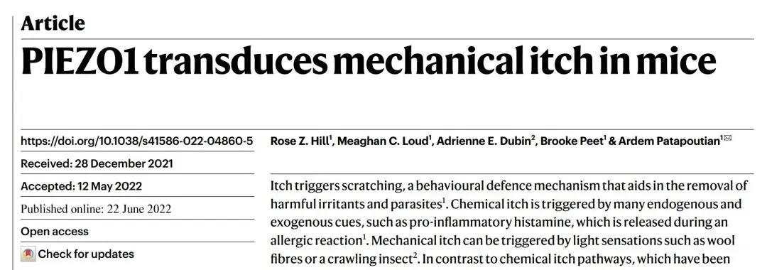 PIEZO1 transduces mechanical itch in mice