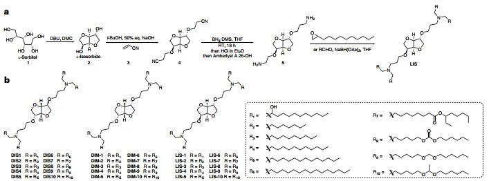 糖-醇衍生可离子化脂质的化学合成体