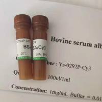 Tris-HCL缓冲液(1mol/L,PH8.0, RNase Free)
Tris-HCL Buffer Solution (1mol/L, PH8.0, RNase Free)