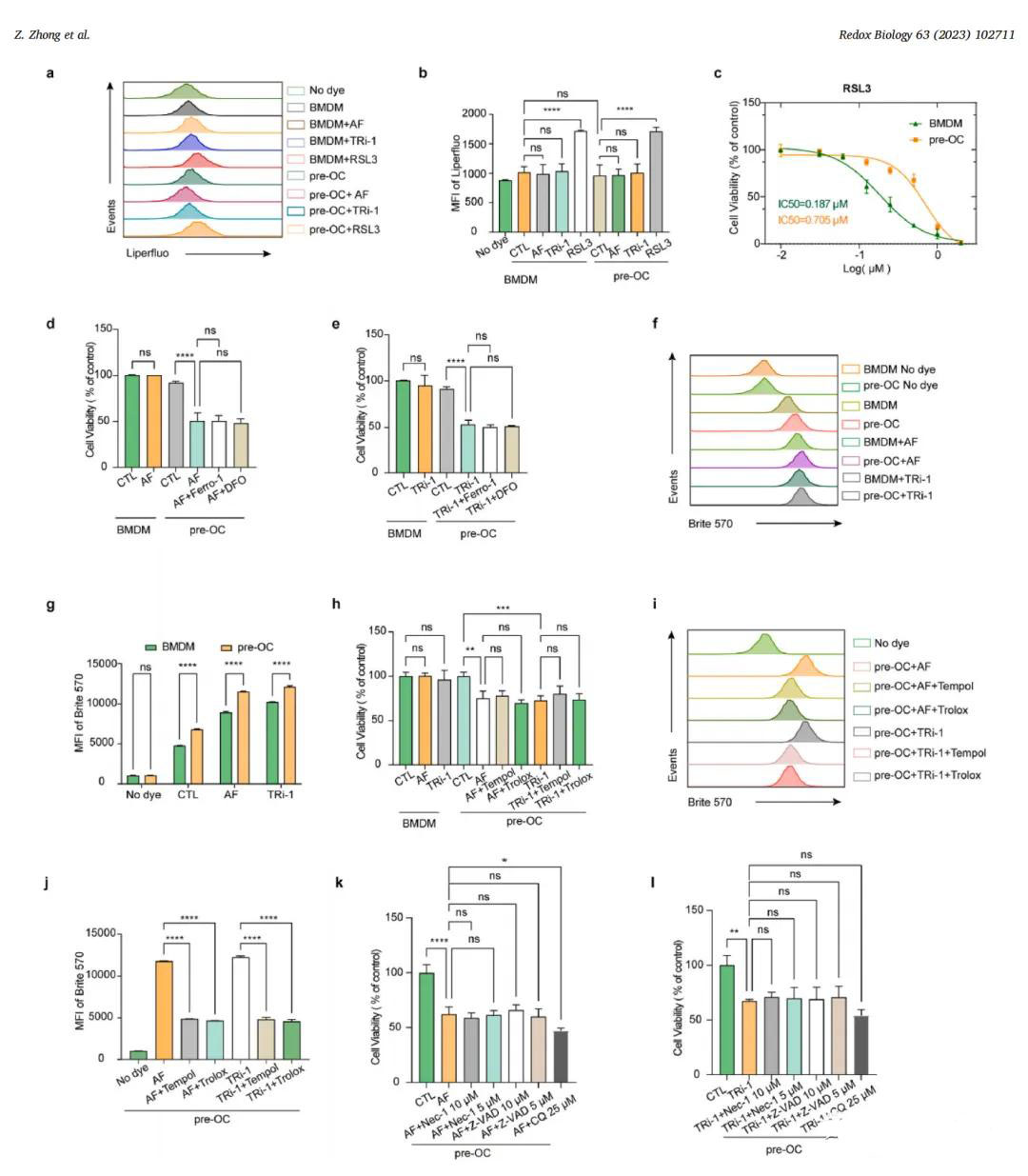 用于研究TXNRD1抑制剂在前体骨肉瘤细胞(pre-OCs)中诱导的细胞死亡类型