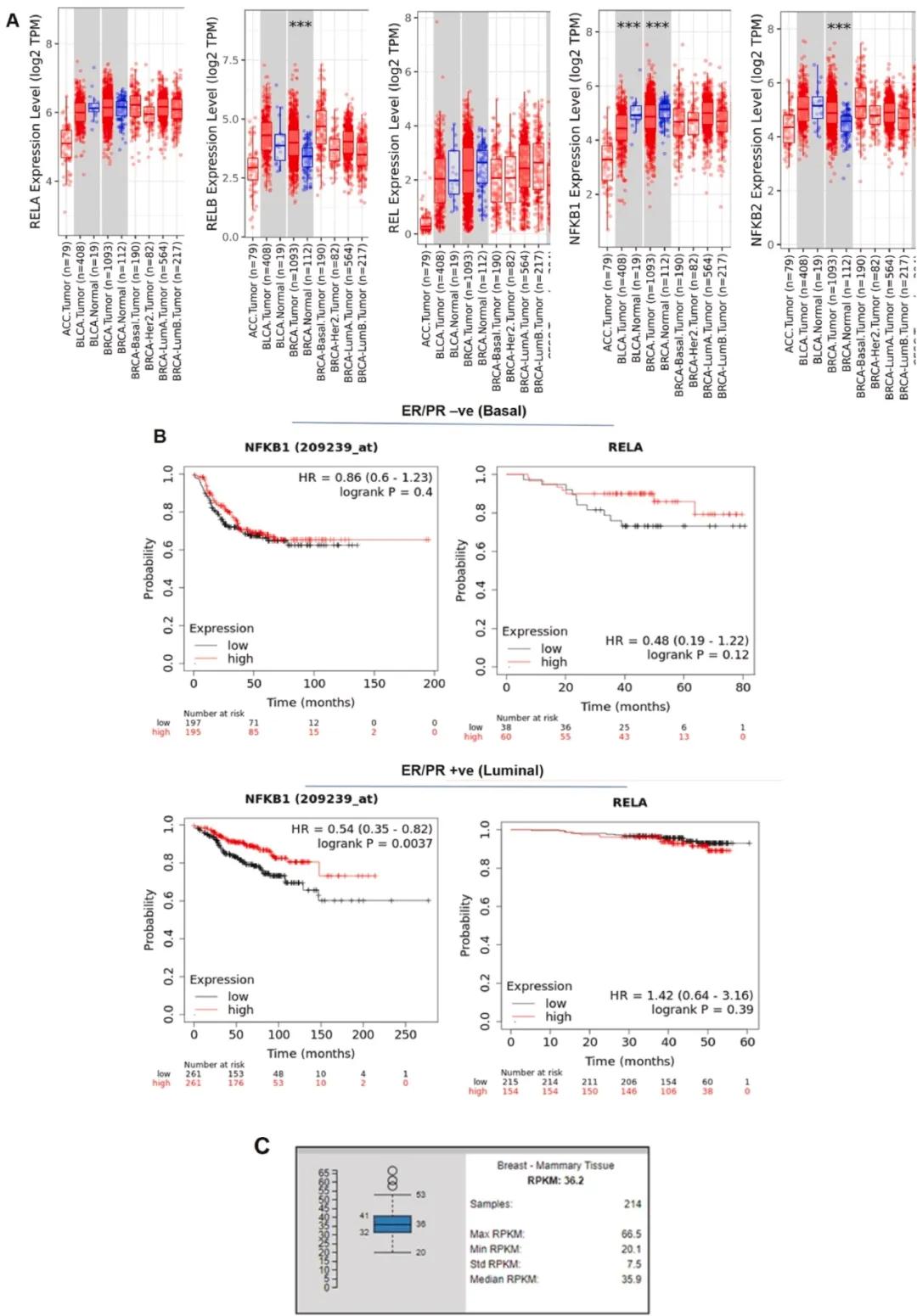 NF-κB亚基在乳腺癌患者中差异表达并决定生存结果