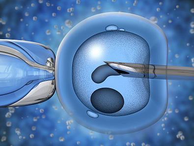胚胎干细胞 (ESC) 研究需要对培养条件进行密切关注