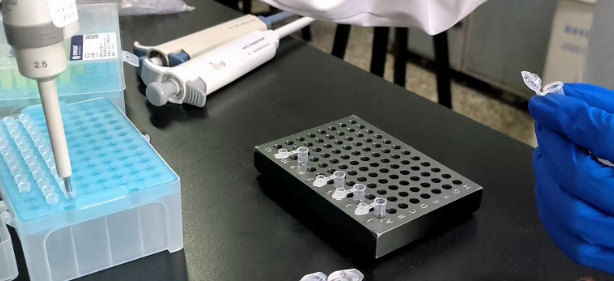 PCR反应扩增产物平端连接法介绍