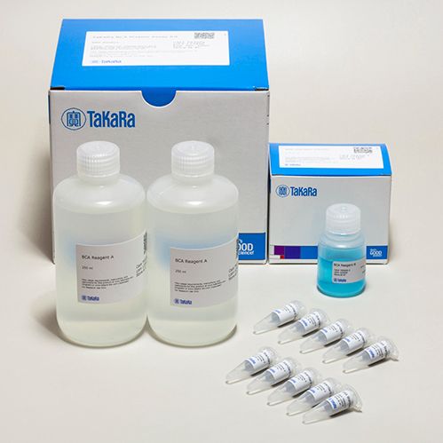 蛋白质定量试剂盒TaKaRa BCA Protein Assay Kit