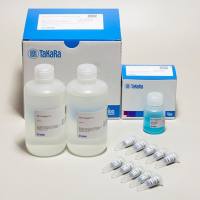 蛋白质定量试剂盒TaKaRa BCA Protein Assay Kit