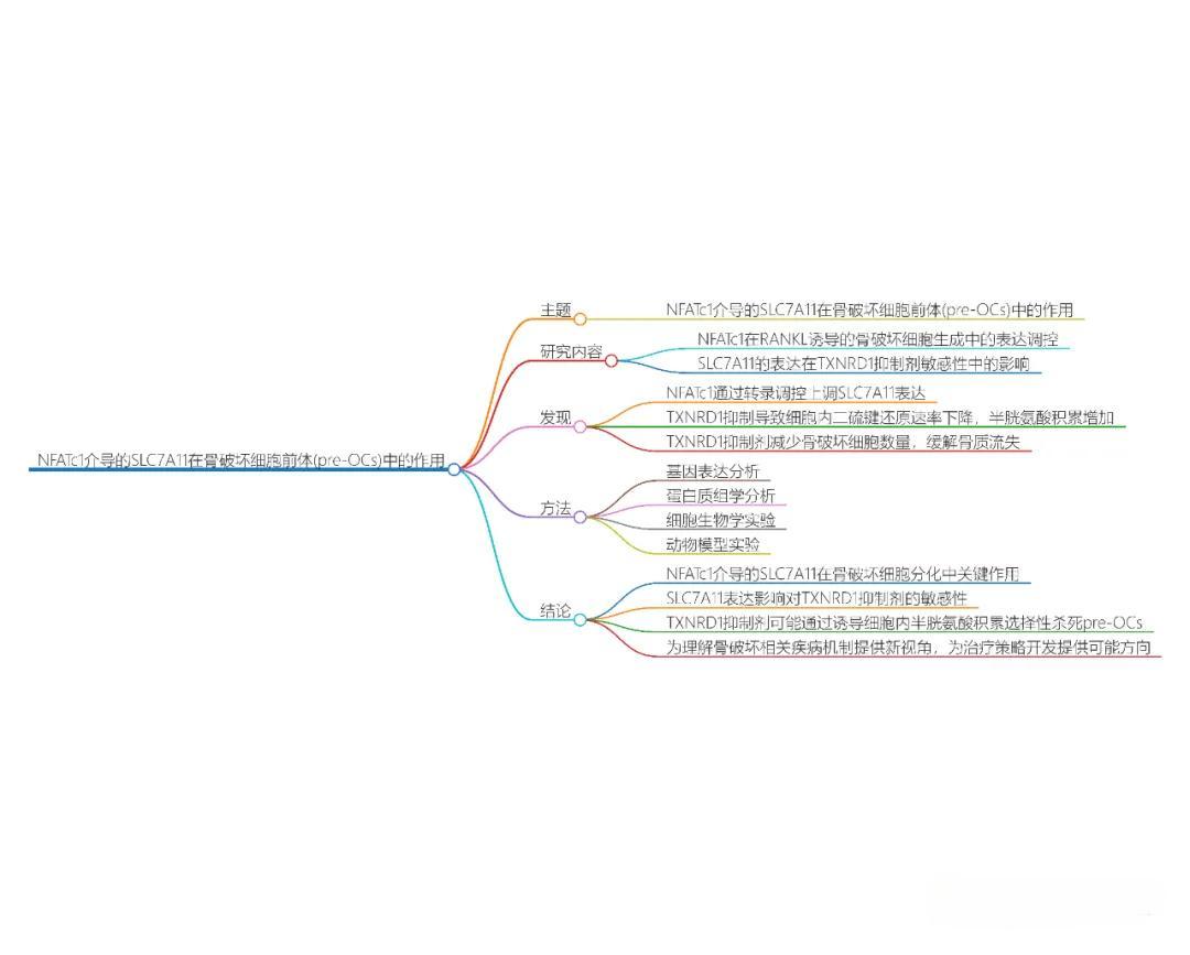NFATc1介导的SLC7A11表达驱动对TXNRD1的敏感性破骨细胞前体抑制剂