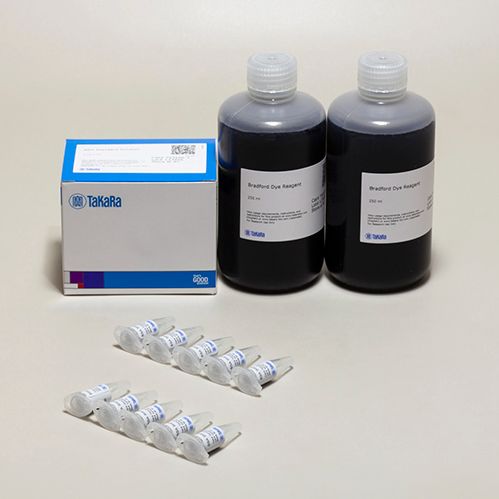 蛋白质定量试剂盒TaKaRa Bradford Protein Assay Kit