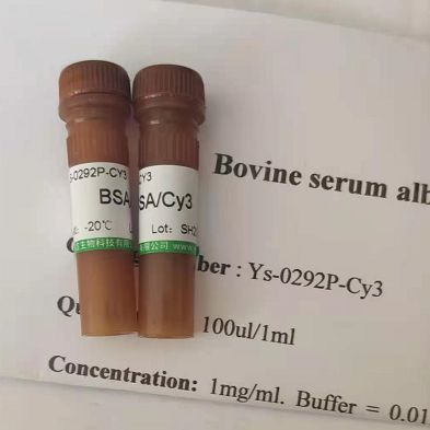 6-苄氨基嘌呤(6-BA)(1 mg/mL)