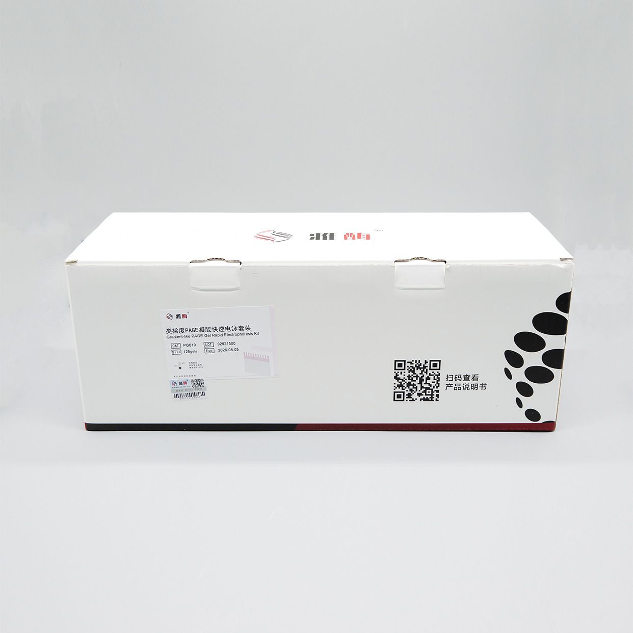 PG610 类梯度PAGE凝胶快速电泳套装