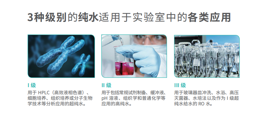 PURELAB® Quest一体机