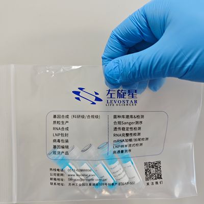 circRNA IRES菌种库现货