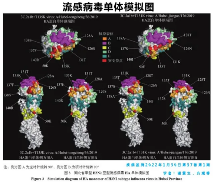 流感病毒感染的症状加重，哪些情况应当住院？