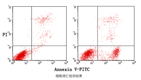 细胞功能检测-抗体Binding检测-蛋白/抗体药物功能检测