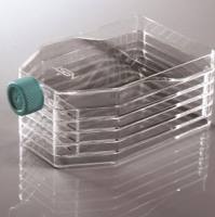 NEST 五层细胞培养瓶