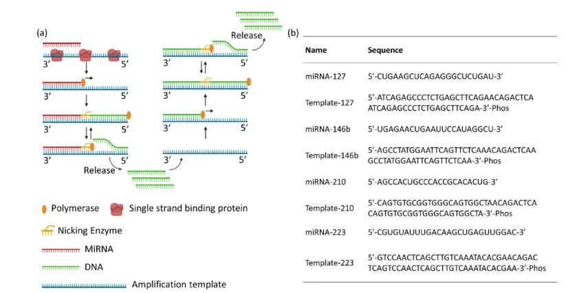 EXPAR试验示意图