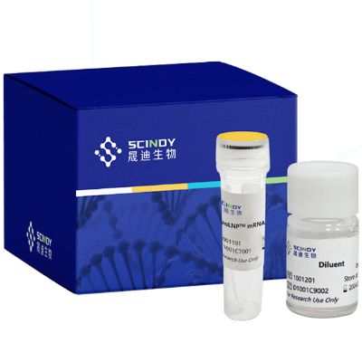 NeoLNP™ 原代免疫细胞 RNA 转染试剂盒 LNP包封