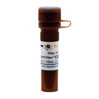 InstantView™红色荧光DNA Ladder(0.2-12kb, 12 bands