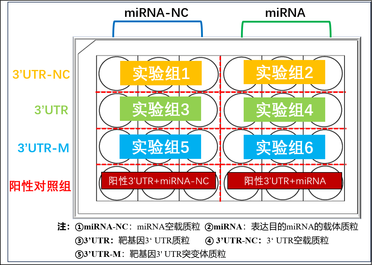 技术资料图片4